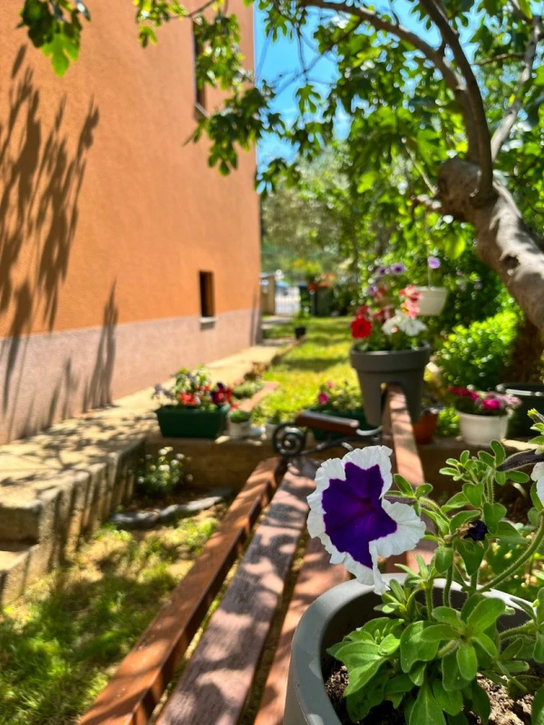 Family Apartment Nina Zadar