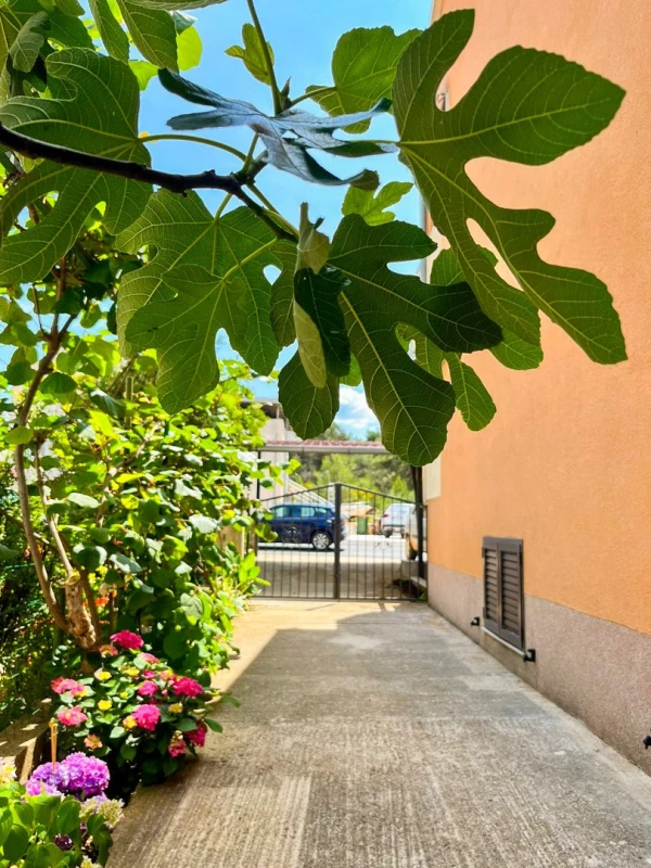 Family Apartment Nina Zadar