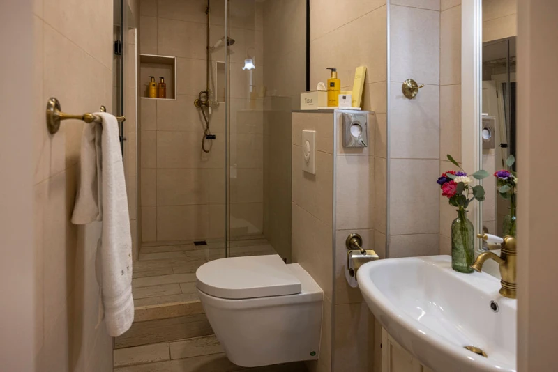 Deluxe king or two single room, Bagno / WC
