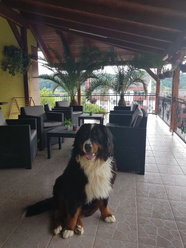 Apartmani Ksenija, Krapinske Toplice