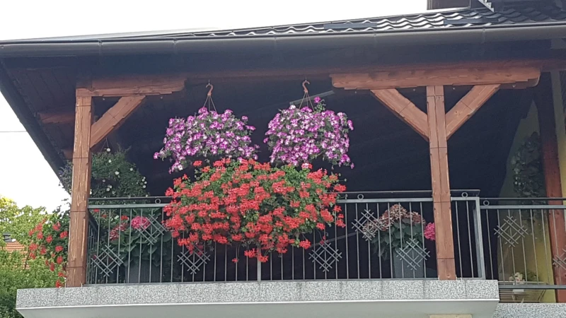 Apartmani Ksenija, Krapinske Toplice