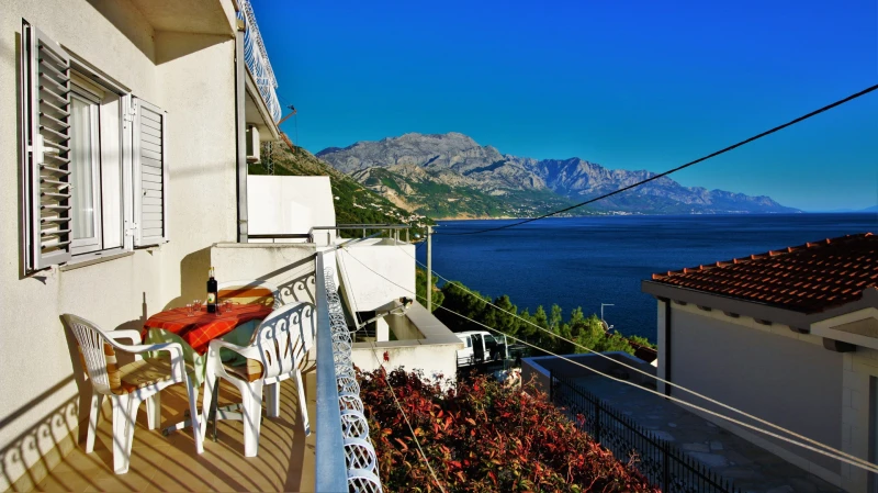 Mesites Croatia