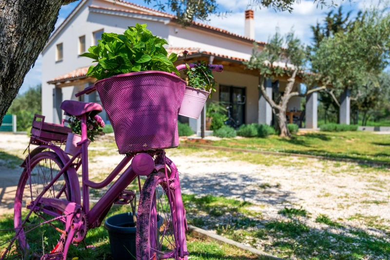 Casa olive garden, Casa olive garden, Fažana