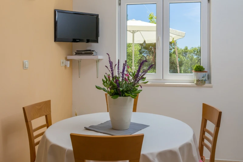 ORANGE APARTMENT