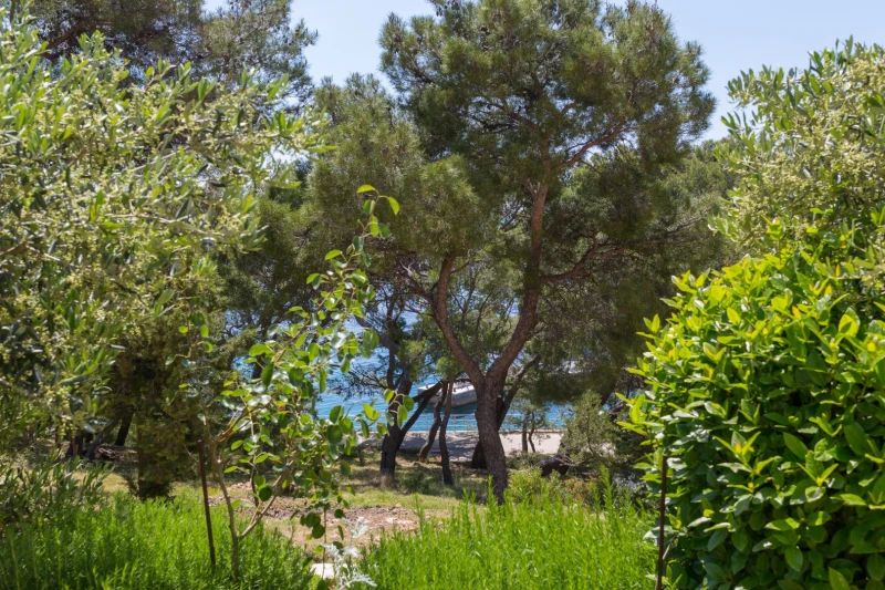 GREEN APARTMAN, Dnevni boravak