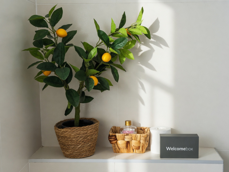 One Bedroom Apartman, Bagno / WC