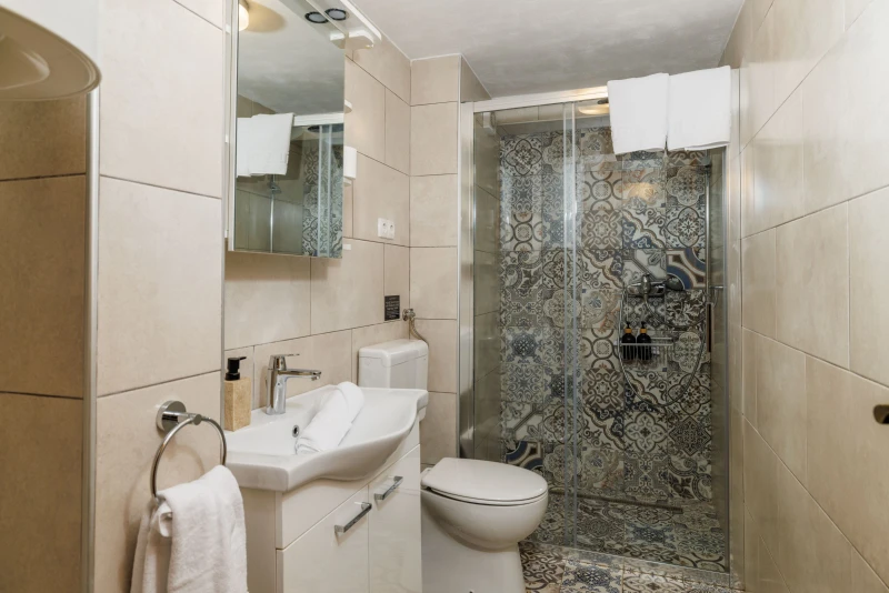 Casa Tilia - rustikalna kamena kuća s bazenom, Kupaonica / wc