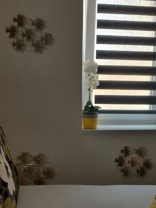 Apartman prizemlje, Apartmani Bionda Novi Vinodolski, Novi Vinodolski