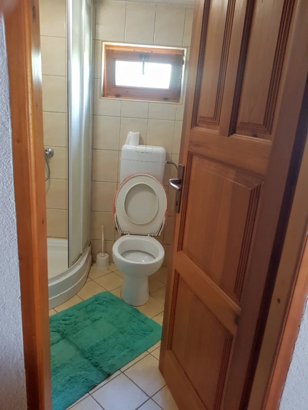 Apartment 1, Bathroom / WC
