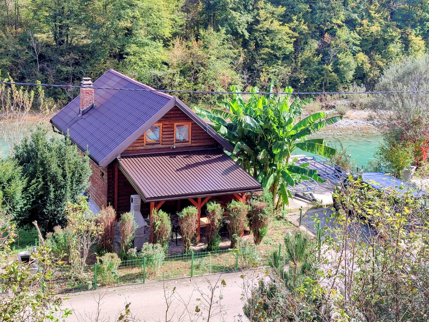Dzajica buk