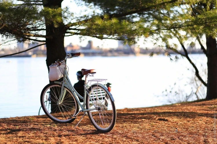 Cycling and Hiking